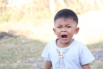 Crying little asian boy on the park.