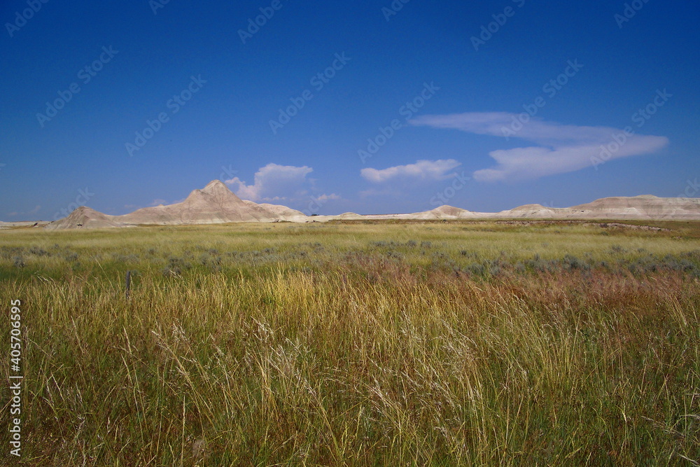 Scenic View Of Field Against Sky - obrazy, fototapety, plakaty 