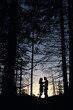 © anatoliy_gleb - Silhouette of pair of lovers looking at each other under large pine trees at sunset. Orange gradient sunset. Romantic evening in the forest