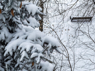 Pushkino, Russia, January 2, 2021. View from the window of trees in snow-covered boulevard . Snowing.