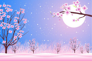 Wall Mural - happy valentine, beautiful cherry blossoms are growing in this romantic spring