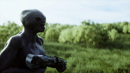 Wall Mural - Military alien with a weapon walks through the meadow against the background of the city. 3d rendering