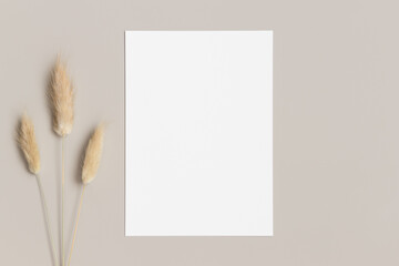 White invitation card mockup with a lagurus on the beige table. 5x7 ratio, similar to A6, A5.