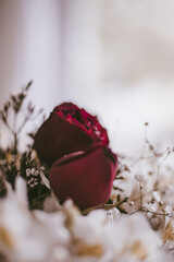 Vertical shot of red roses decorated with small flowers. Decorative interior flowers wallp