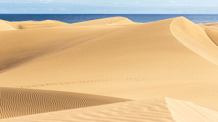 Dunes in Maspalomas in Gran Canaria