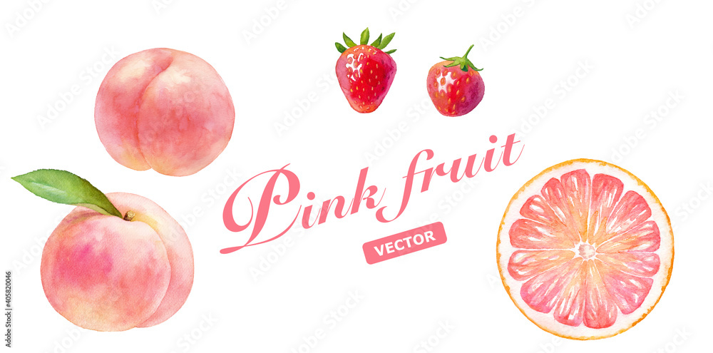 Fototapete ピンク色のジューシなフルーツのセット 水彩イラストのトレースベクター 桃 白桃 いちご ピンクグレープフルーツ Keiko Takamatsu