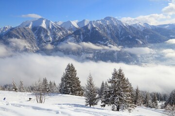 Wall Mural - Cloud inversion in Alps