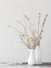 Wall Mural - daphne flowers in vase on old wooden table on background white wall