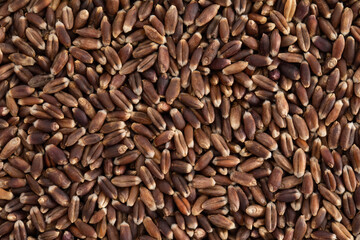 Poster - Top view of a heap of brown rice