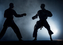 Professional Karate Silhouette Fighter Kicking. Isolated On A White Background