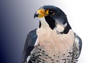 Bird Of Prey In Low Poly Style