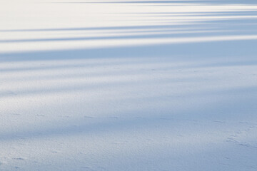 white sunny snow background with blue shadows