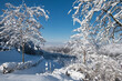 Sonniger Wintertag oberhalb von Ettenheim in der Ortenau