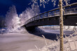 Winter landscape. Bridge over the river.