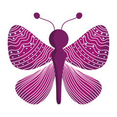 Sticker - butterfly insect animal, dotted and lined wings, decorative wings on white background