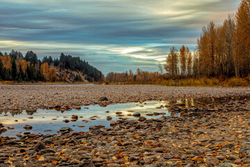 Wall Mural - Autumn scene of early morning along the Flathead River, Montana with pools of water and rocky foreground