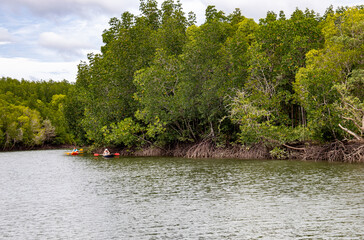 Wall Mural - Canoës sur la mangrove à Koh Lanta, Thaïlande