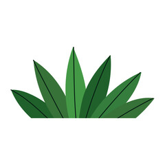 Sticker - plant leaves foliage cartoon icon in isolated style