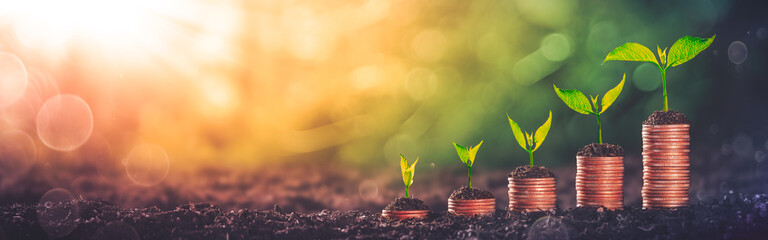 plants growing out of coin stacks - investing concept