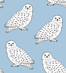 Vector seamless pattern of hand drawn doodle sketch white polar snowy owl isolated on blue background