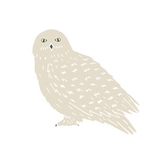 Canvas Print - Vector hand drawn doodle sketch polar snowy owl isolated on white background