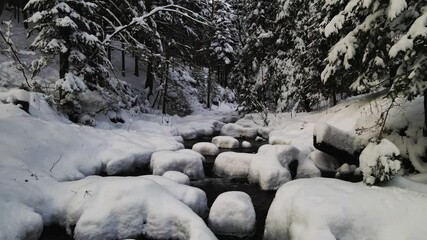 Wall Mural - Mountain river  with covered with snow flowing through the winter forest in Bekidy Mountains, Poland