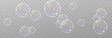 Fototapeta  - Vector soap bubble. Realistic soap bubble png, glare. Foam bubbles png. Powder, soap, detergent. Vector image.