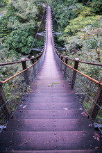 階段吊橋
