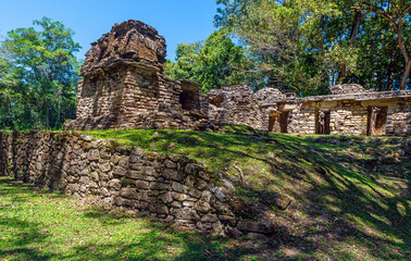 Wall Mural - Maya ruin city of Yaxchilan, Chiapas, Mexico. Focus on foreground wall.