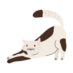 Sticker - cute little cat white and brown pet mascot character vector illustration design