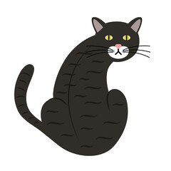  cute little cat gray color pet mascot vector illustration design