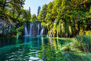 Wall Mural - Many waterfalls flow along the clay cliffs