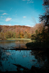 Sticker - Beautiful view of the water surrounding the forest with colorful leaves on the trees on a fall day