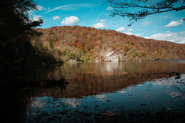 Sticker - Beautiful view of the water surrounding the forest with colorful leaves on the trees on a fall day