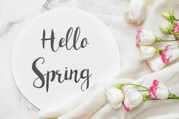 Beautiful flowers and card with text HELLO SPRING on light background