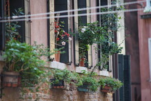 Hauswand in Venedig (Sony A7ii, Minolta MD Rokkor 200/2.8)