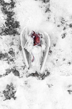 Headless Frozen Cadaver Of Dead White Bird With Blood On Chest Lying On Snow In Winter