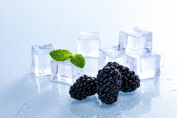 Wall Mural - Selective focus shot of melting ice cubes and ripe blackberries on a wet surface