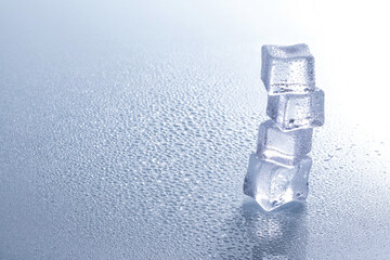 Wall Mural - Selective focus shot of melting ice cubes on a wet surface