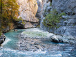 Blaues Wasser des Flusses Aare in einer Schlucht, mit Felswand und Bäumen im Herbst