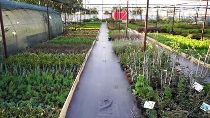 Aufkleber - Garden center with nursery. A row of plants for landscape design