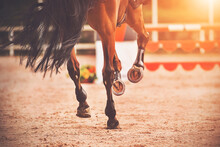 The Shod Hooves Of A Galloping Bay Horse Step On The Sand Of An Outdoor Arena At Equestrian Competitions. Horse Riding. Equestrian Sports.