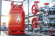 Production, delivery and filling with natural gas of lpg gas bottle or tank.