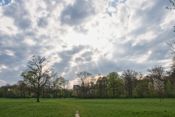 Park in the sunshine