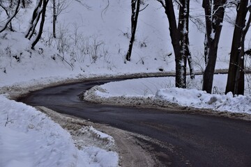 Sticker - winter in the forest