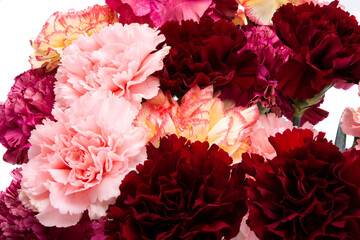 Canvas Print - bouquet of carnations isolated