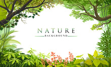 Nature Template To Write Text Matter. Plants, Leaves, Trees And Forest