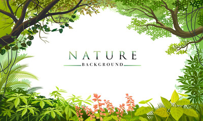 Nature template to write text matter. Plants, leaves, trees and forest
