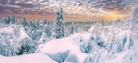 Wall Mural - panoramic landscape with purple color, mountains, forest and snow cover. ural, russia perm krai ston