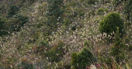 Sticker - Beautiful mountain in autumn season